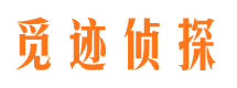 城中市侦探公司